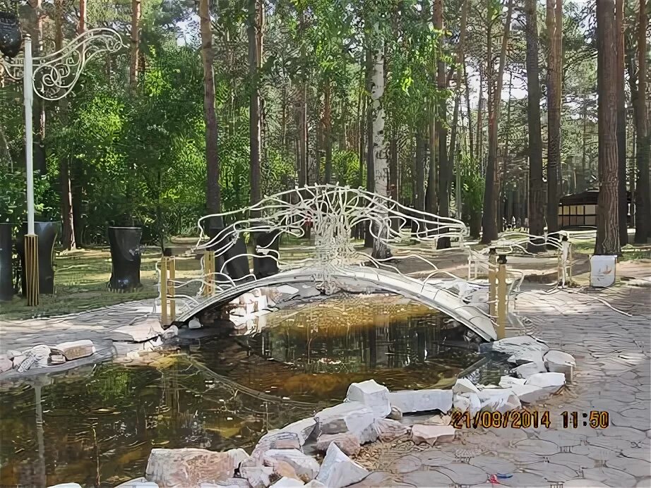 Бассейн в заельцовском парке
