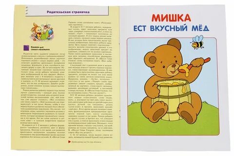 Первый год обучения