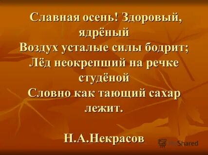 Поздняя осень здоровый ядреный воздух