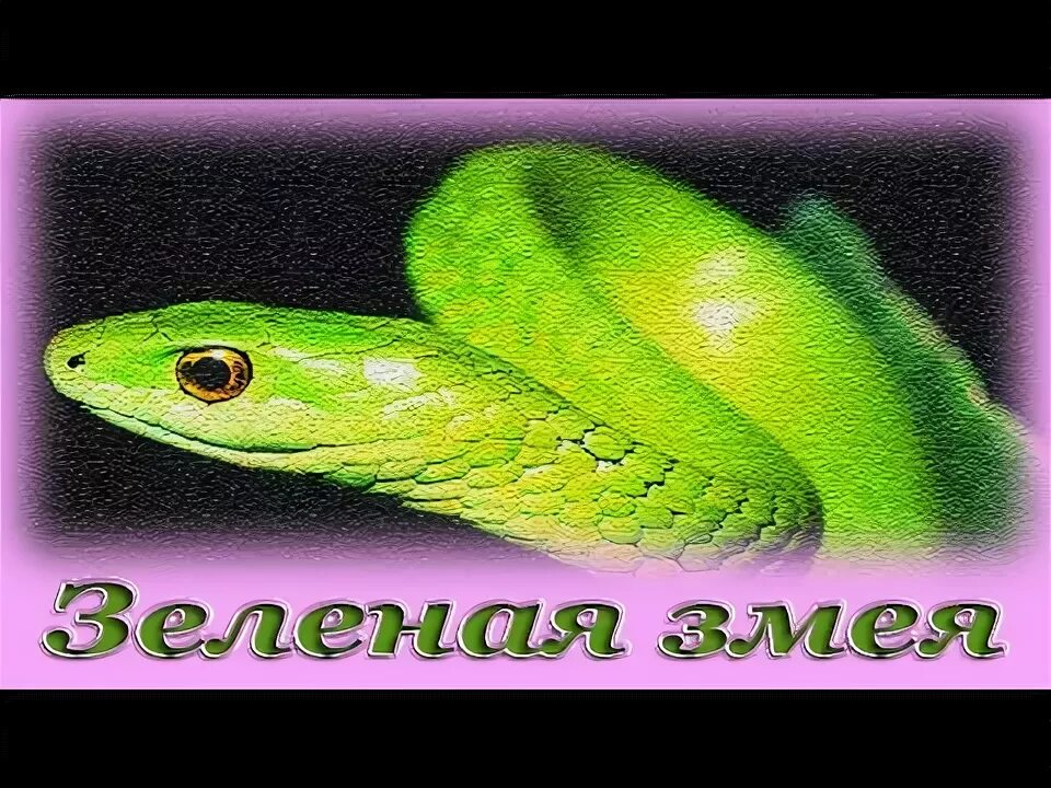 Зеленый змей. Зеленая Сказочная змея. Слушать про змею