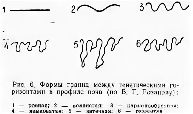 Формы рубежом
