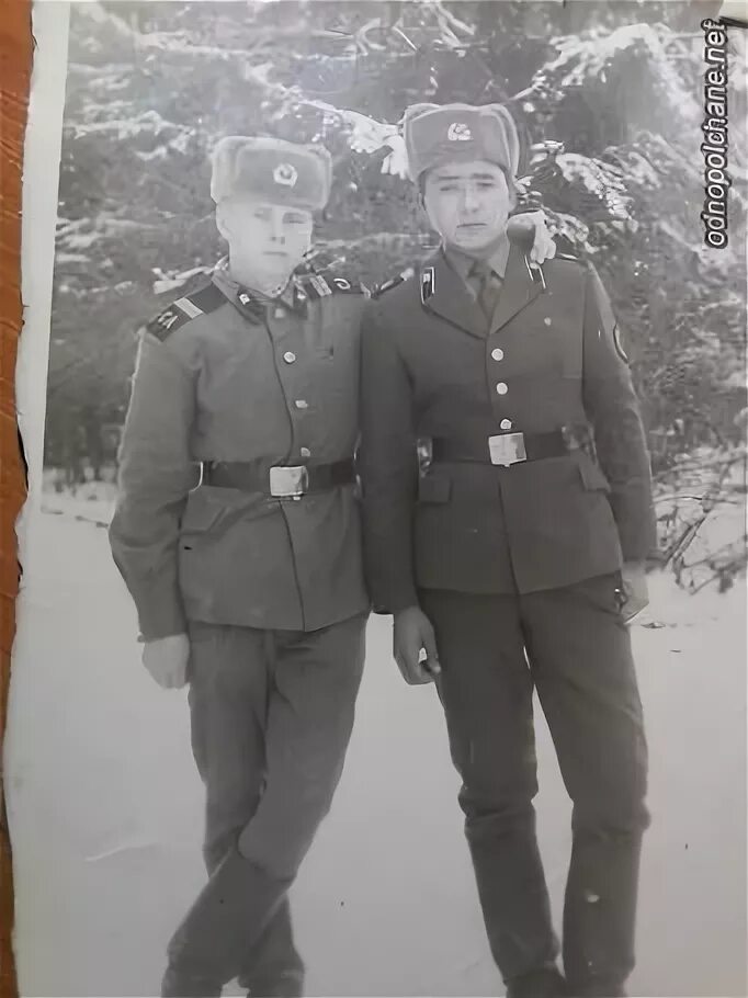 как найти сослуживца по имени