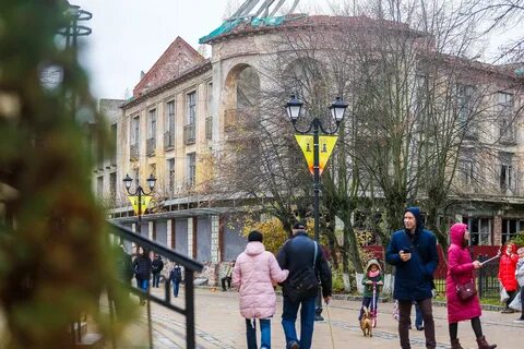 Зеленоградск новости