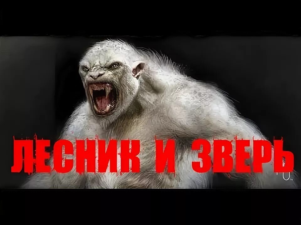 Страшнее кошки зверя нет открытка. Картинки страшнее кошки зверя нет. Страшнее зверя нет пословица. Песня страшный зверь. Оборотень.