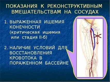 Сосудистый 1