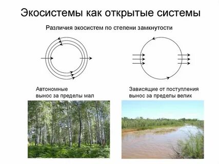 Экосистема система