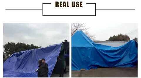 Из за синего полога туч на зеленый