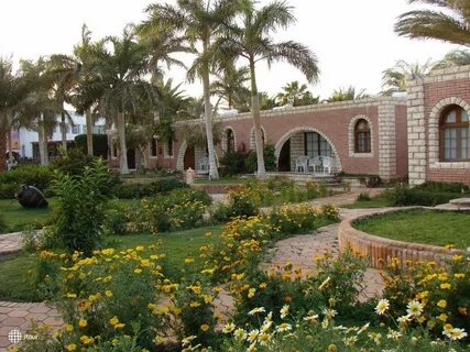 Aladdin resort