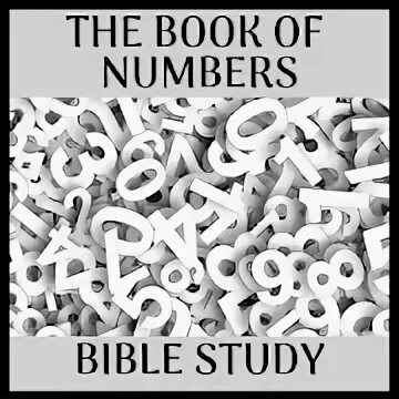 Book of numbers