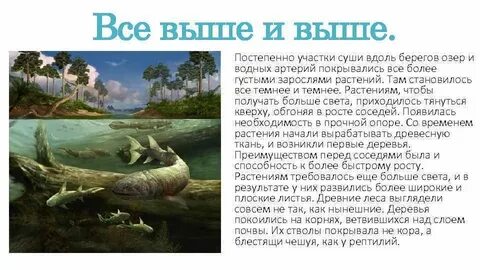 Девон какая эра