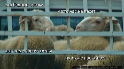 Никто нас не пасет