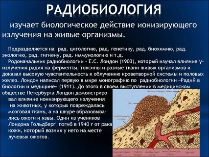 Воздействие радием