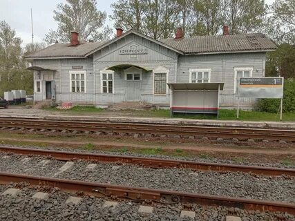 Погода лесогорский