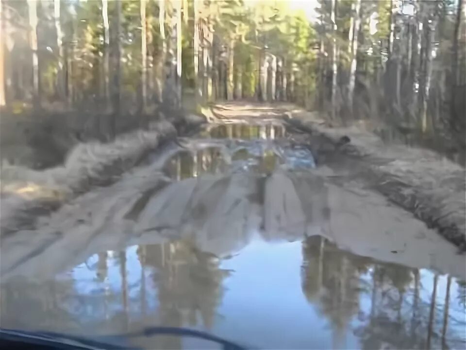 Мга малуксы. Малукса Мга. Малукса дорога. Дорога Мга Любань. Река Мга.