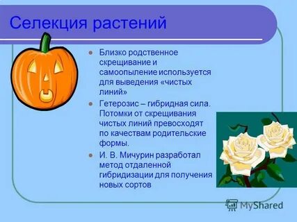 Селекция задания