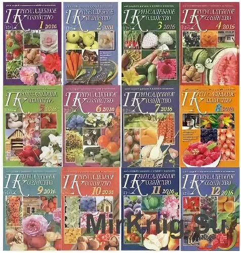 Название приусадебное хозяйство. Приусадебное хозяйство журнал. Приусадебное хозяйство журнал 2021. Журнаприусадебное хозяйство. Приусадебное хозяйство журнал.