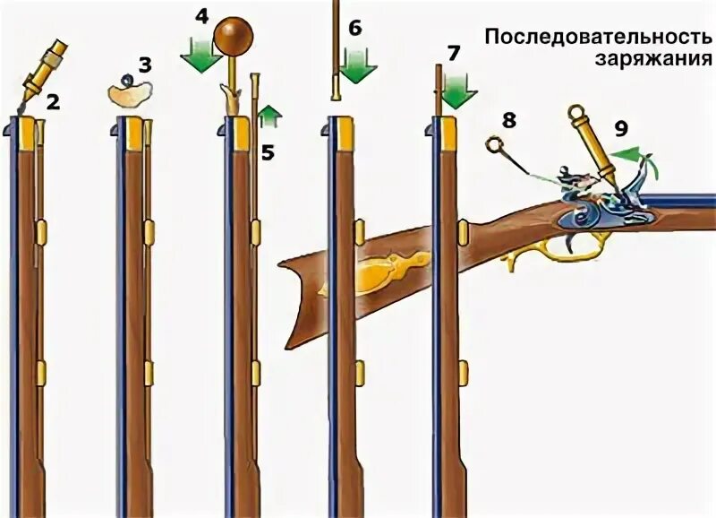 Как зарядить мушкет. Заряжание мушкета. механизм дульнозарядного ружья. схема заряжания дульнозарядной винтовки. механизм фитильного мушкета.