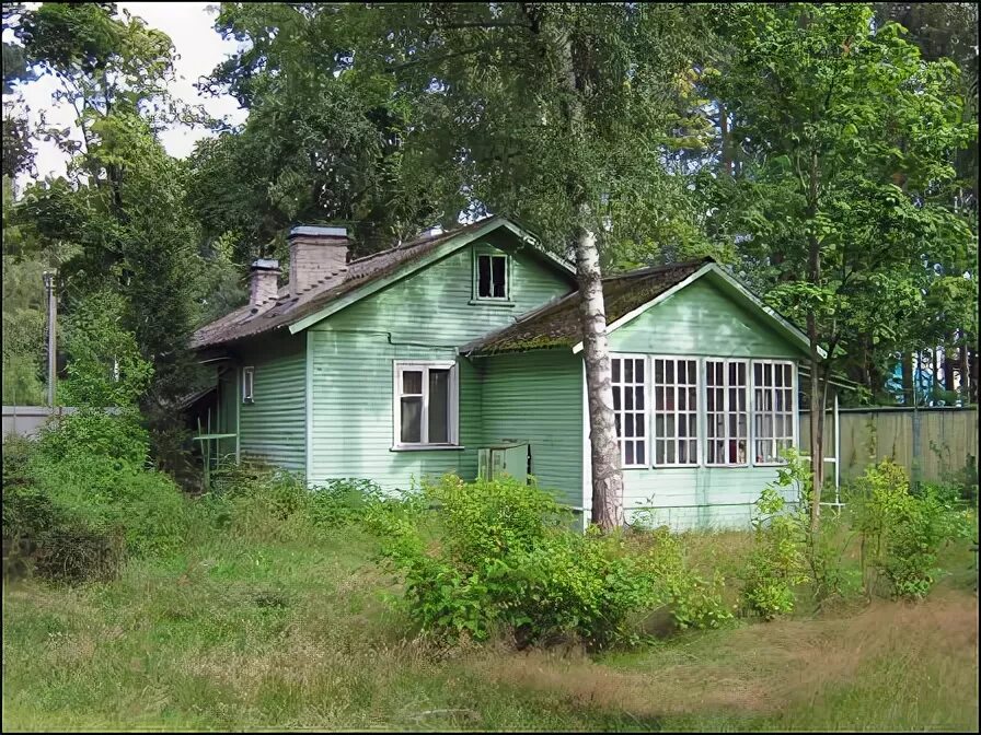 Три дачи. ГУП Пригородное СПБ. ГУПДО Пригородное солнечное. Пригородное дачи СПБ ГУПДО. Солнечное 1 социальные дачи.