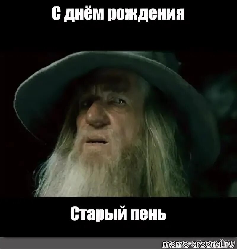 Еще вовсе человек не пожилой. Гэндальф Мем. С днем рождения старый пень. Открытка с днём рождения старый пень. С днем рождения старик.