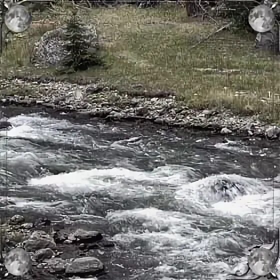 Сонник мутная река