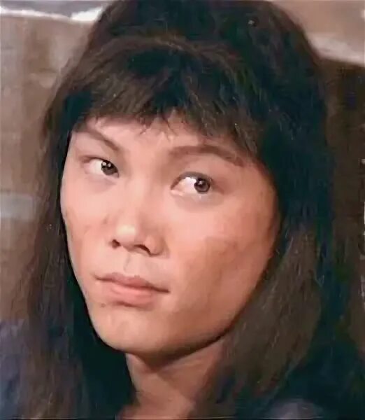 Chang sheng ji. Chang sheng ji