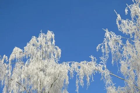 Почему зимой небо белое
