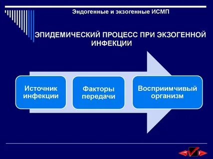 Экзогенная исмп