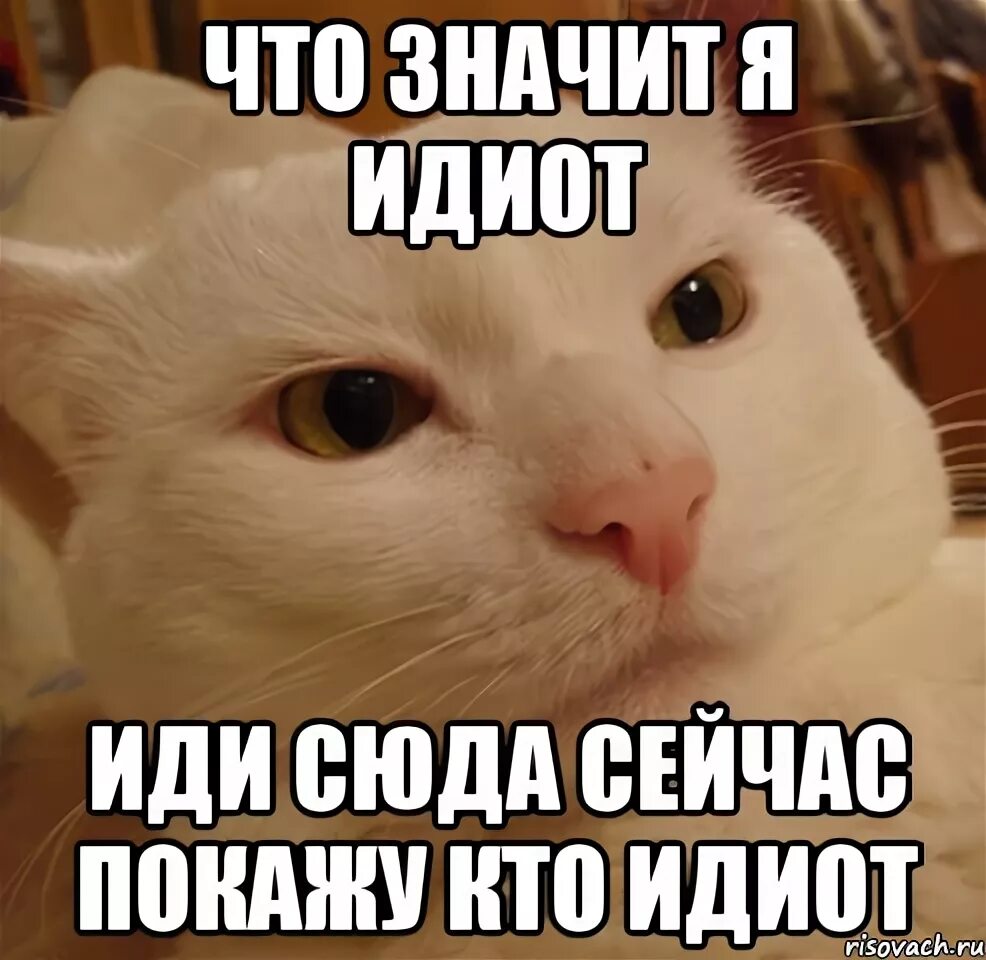 Что значит я. Что значит. зн. что обозначает дебил.