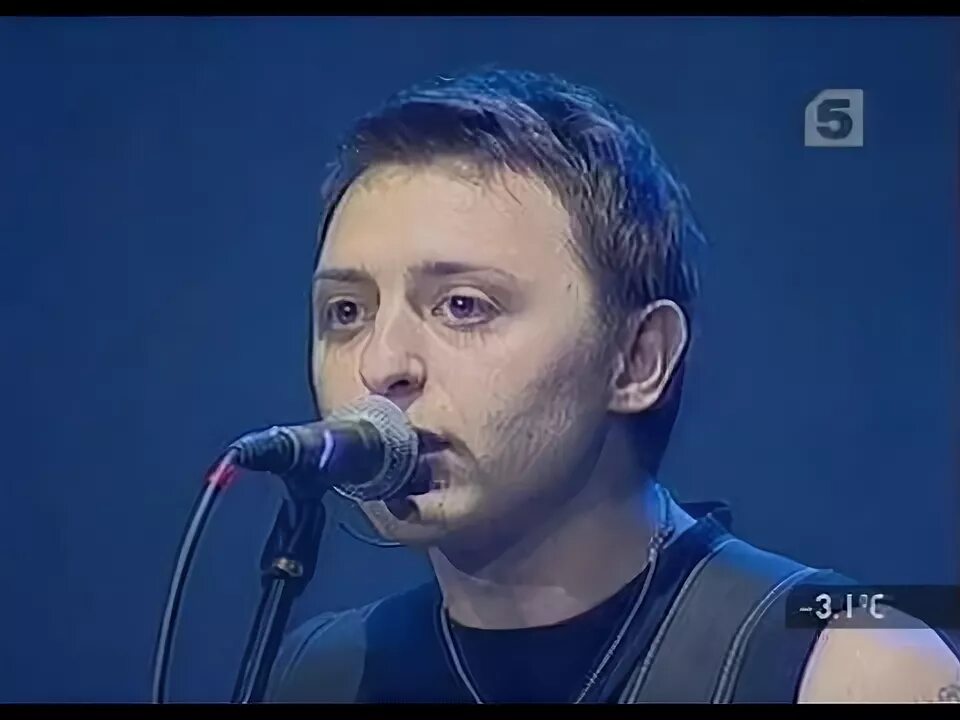 Звери просто такая сильная любовь mp3. Звери просто такая сильная любовь. Просто такая сильная любовь. Звери просто такая сильная любовь. Звери просто такая сильная любовь.