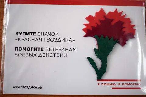 Красная гвоздика гомель сайт