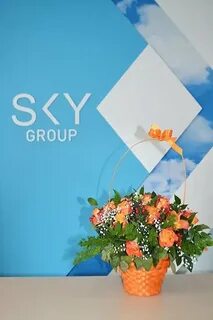 Sky group