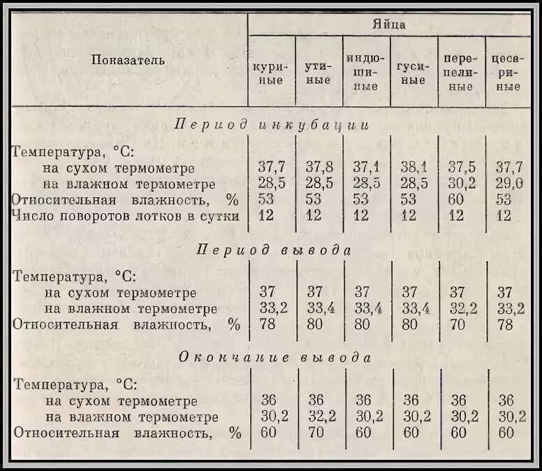 Инкубация индюшат. Таблица выведения гусят в инкубаторе. Температура и влажность в инкубаторе для гусиных яиц таблица. Режим температуры и влажности в инкубаторе для куриных яиц таблица. Таблица вывода гусят в инкубаторе Золушка.