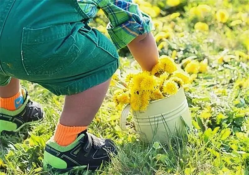 Следы от одуванчиков на одежде. Пятна от одуванчиков на одежде фото. Пятна от одуванчиков. Пятна от одуванчиков. Порошок который отстирывает все пятна.