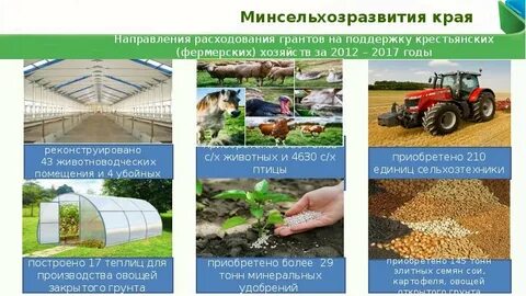 Кфх плюсы и минусы