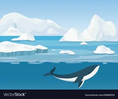 Водный мир арктики рисунок