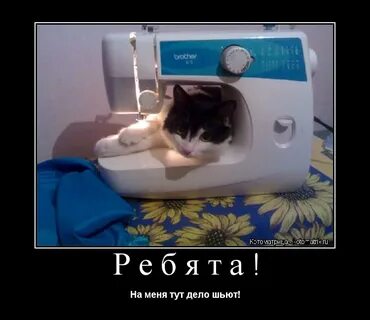 Вы пьющая