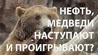 Медведь наступает