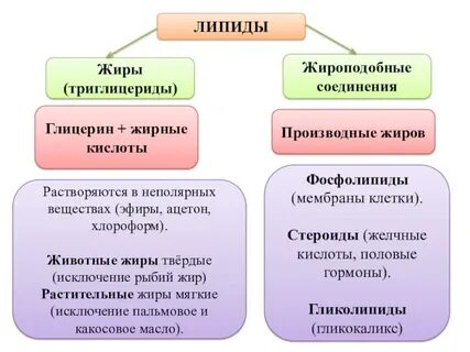 Жироподобные вещества