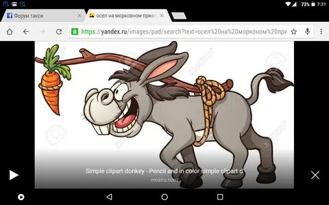 ослом поиск яндекса: 1 тыс изображений найдено в Яндекс Картинках