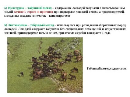 Метод содержание чем закончится