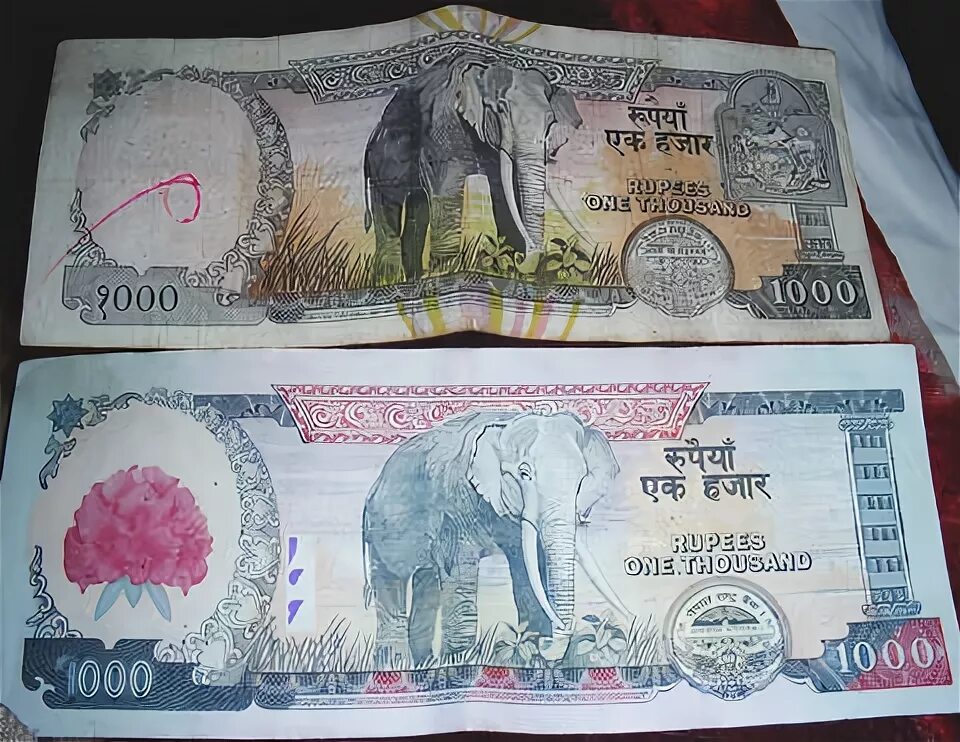 1000 Непальских рупий. 9000 Непальский рупий. Курс обмена индийской рупии. Курс рупии Узбекистана. Обмен рупий на рубли