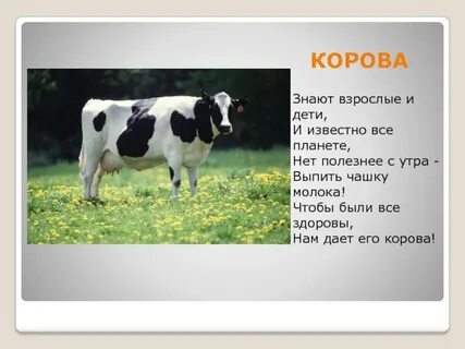 Корова окружающий мир 3 класс