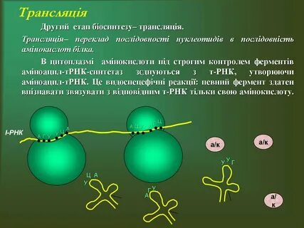 Биосинтез молекул