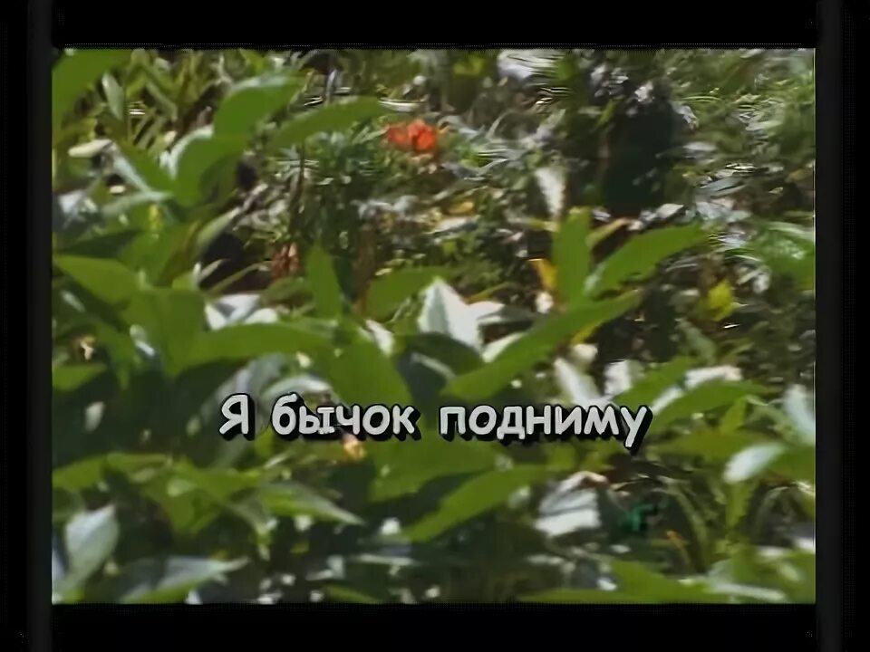 Сектор газа сектор дурак. Бомж сектор газа караоке. Бомж сектор. Ведь пьяный я дурак сектор газа. Сектор газа бомж.