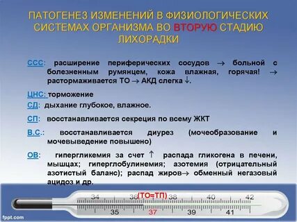 Сколько длится алмазная лихорадка