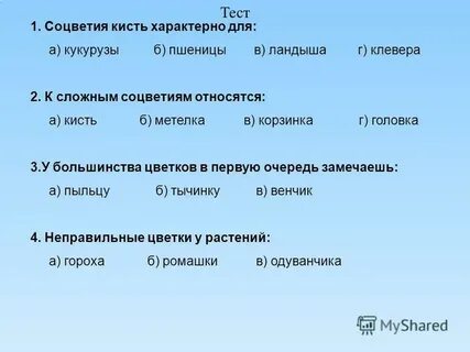 Проверочная работа по соцветиям 6 класс