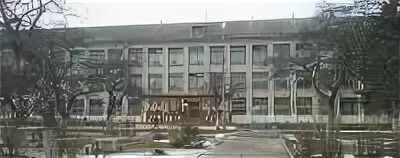 Сош 8 брянск