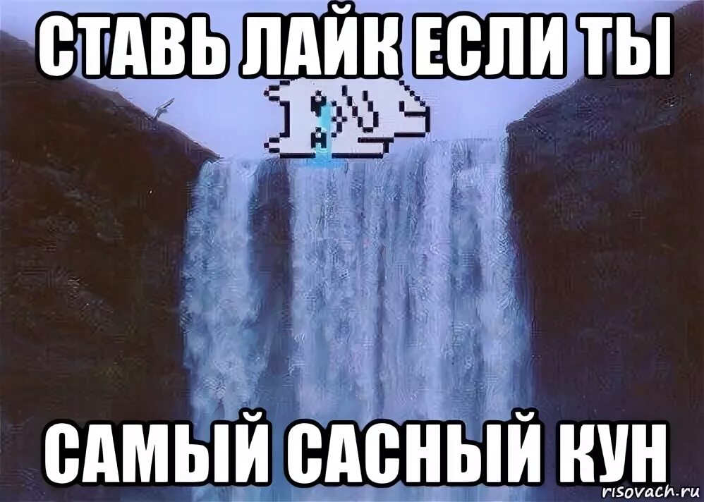 Ты сасный. Сасный Мем. Что обозначает слово сасный. Что значит сасно. Сасный это