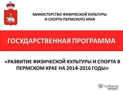 Государственная программа развития физической культуры и спорта