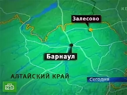 С залесово алтайский край